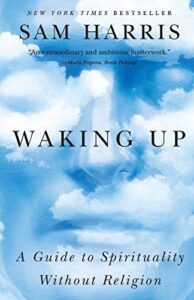 Waking Up Book Cover