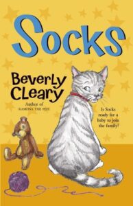 Socks Book Cover