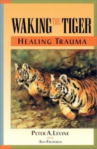 Waking the Tiger Book Cover