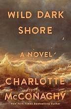 Wild Dark Shore Book Cover