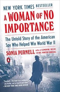 A Woman of No Importance Book Cover